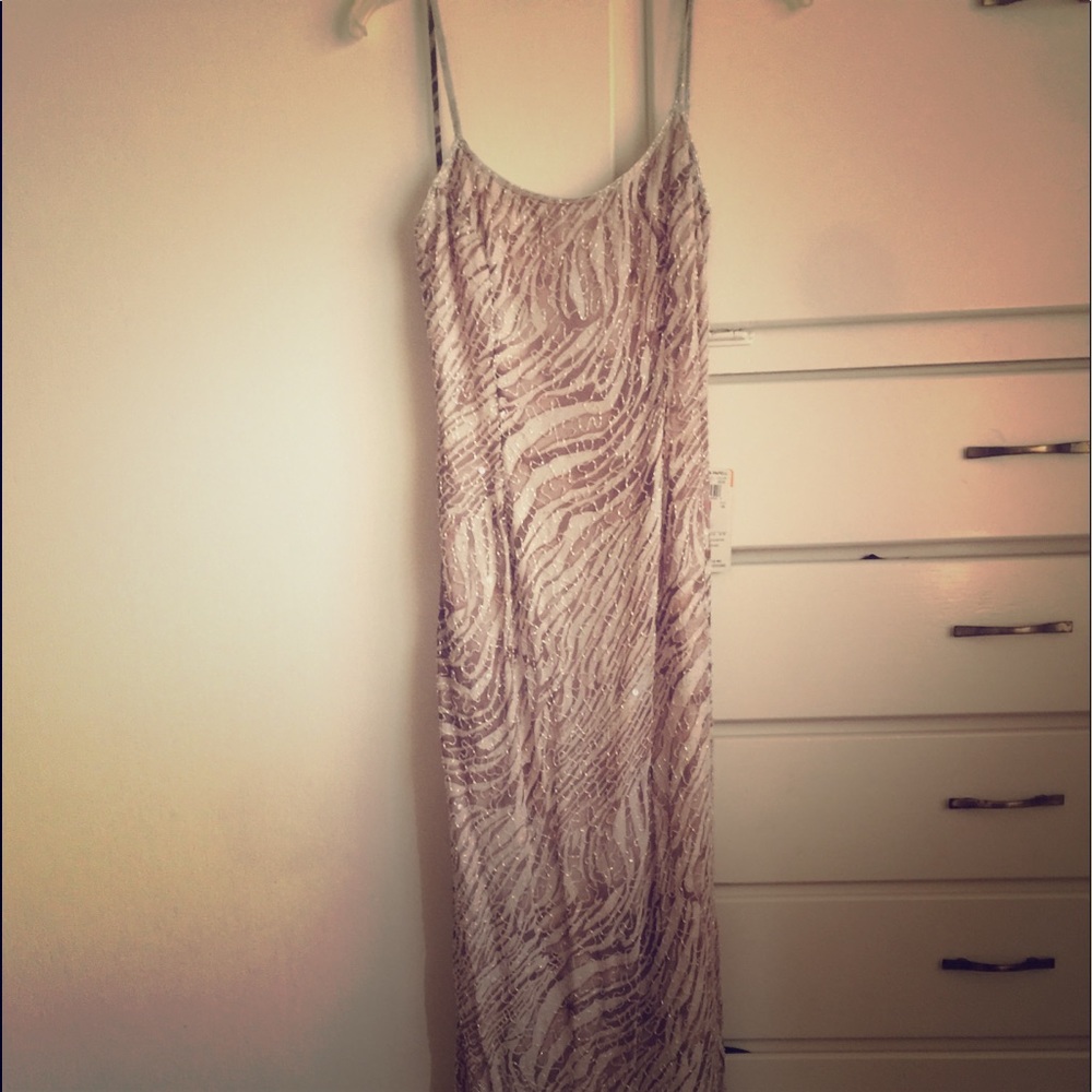Adrianna Papell Beaded Evening Gown